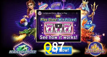 Q87 cassino