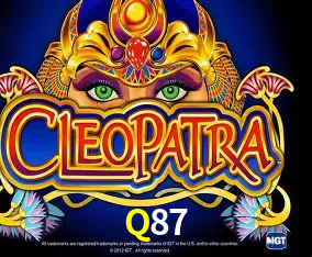 Q87 feedback — formulário de envio no aplicativo oficial